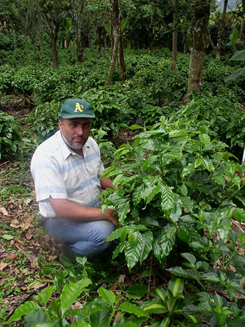 Finca Chepe's Jose Arce
