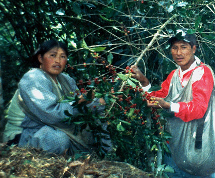 Bolivia National Winner