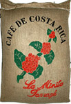Costa Rica La Minita Tarrazu