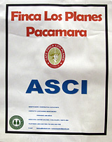 Click to enlarge El Salvador Los Planes Pacamara