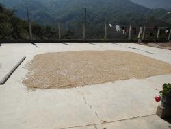 Las Decicias drying patios