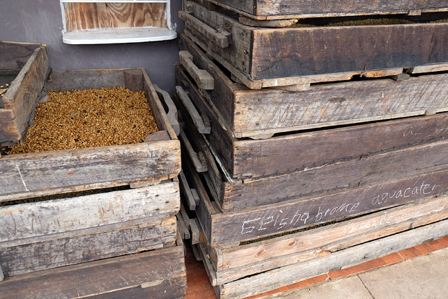 Wooden drying bins