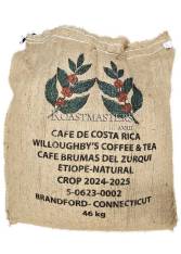 Costa Rica Etiope 47 Natural