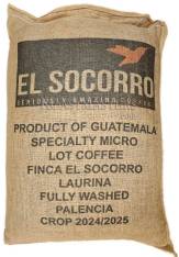Guatemala El Socorro Laurina