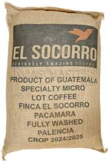 Guatemala El Socorro Pacamara