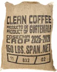 Guatemala Antigua Santo Domingo SHB