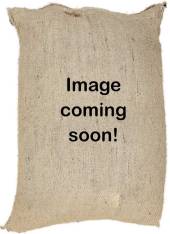 Sumatra Mandheling Gayo Highlands Organic