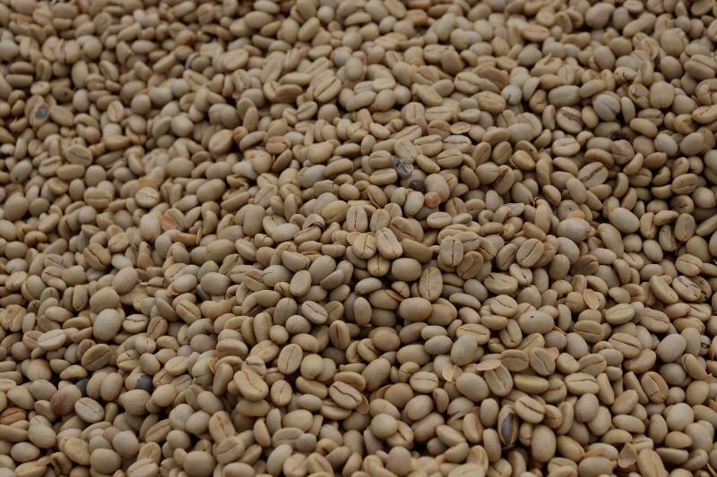 kenya kaganda aa in its parchment husk