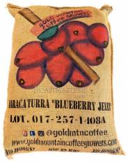 Nicaragua Maracaturra "Blueberry"