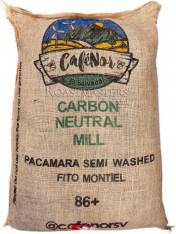 Nicaragua Fito Montiel Pacamara Semi Washed