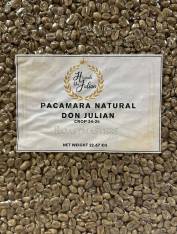 Panama Don Julian Pacamara Natural